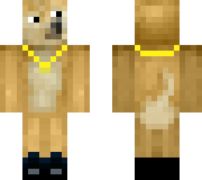 doge with gold chain