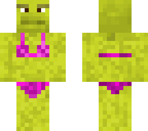 shrek 2 sokko