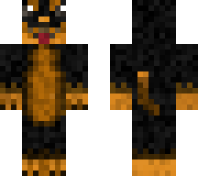 dark dachshund dog
