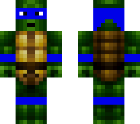 main skin