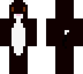 black cat