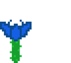blue rose