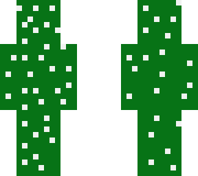 cactus kid