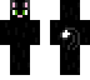 black cat