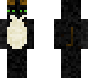 licorice the cat