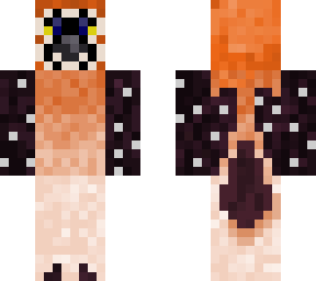 bearded vulture