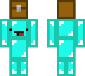 chest