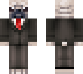 pug in suit