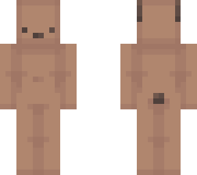 donny the bear