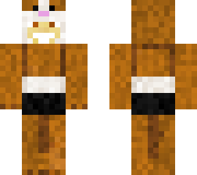 guinea pig guy