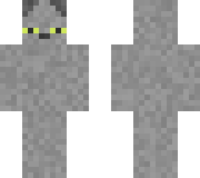 cat gray
