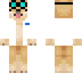 lab doge 2.0