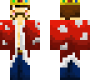the prince of mooshroom kingdom