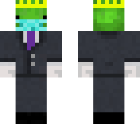 turtle with face mask