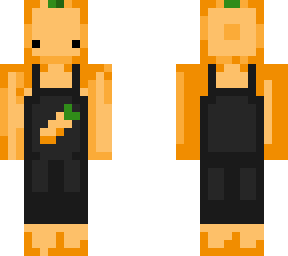 sir carrot 2.0