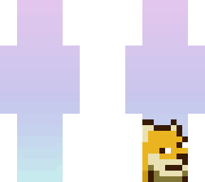 doge boi
