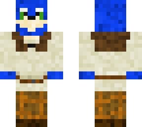 sonic the shrekhog