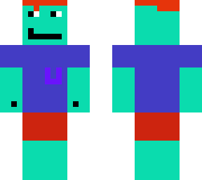 a minecrafter