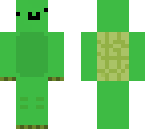 i like turtles