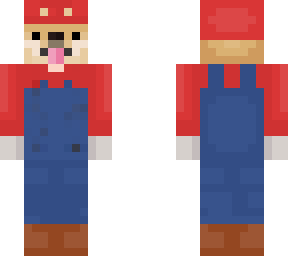 mario doge