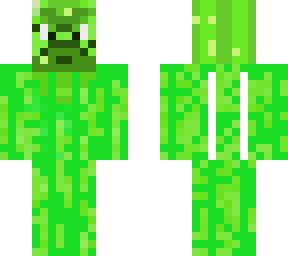 pvz squash/apisonaflor/chayote