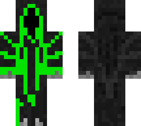 dominus boy
