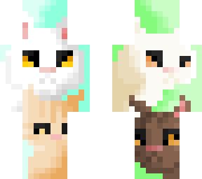 guess the warrior - medicine cats - winners!