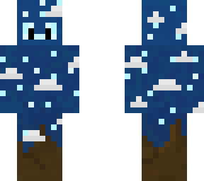 starry dolphin