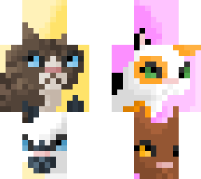 guess the warrior - apprentices - please read the desc