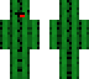 cactus skeppy