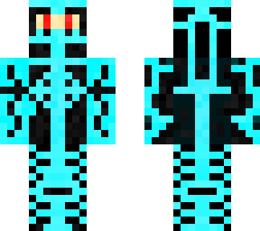 cyber ninja