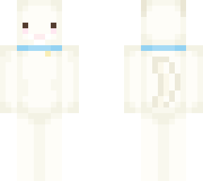 white cat with blue collar.