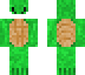masked turtle