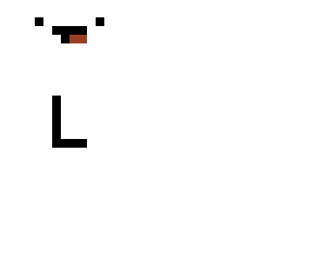 loser