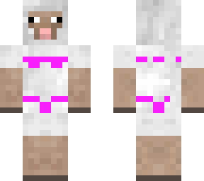 cute sheep beach