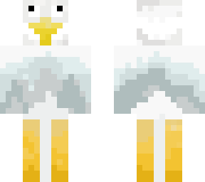 duck bird