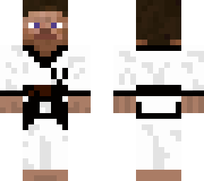 steve taekwondo