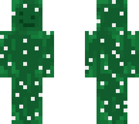 cute but crooked cactus