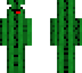 dumm cactus