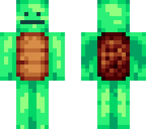 epic turtle man boi thing