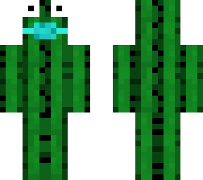 crazy masked cactus