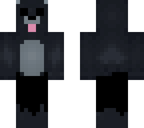 oso nocturno
