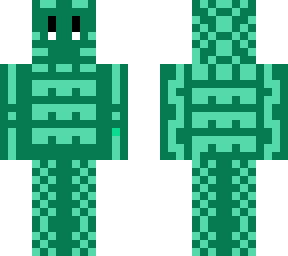 turtle time