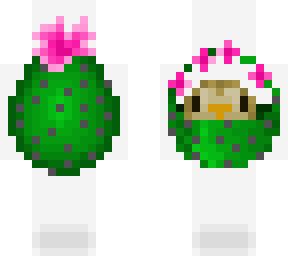 cactus egg