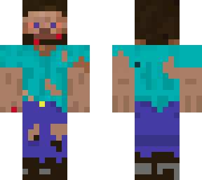 hobo steve