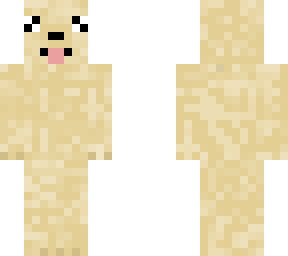 cute yellow dog