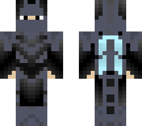 elytra skin