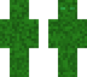 camo skin