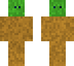 hide and seek !!!! grass block