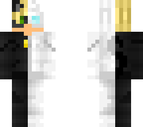 chat noir